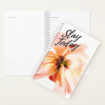 Slay Today Monthly Planner