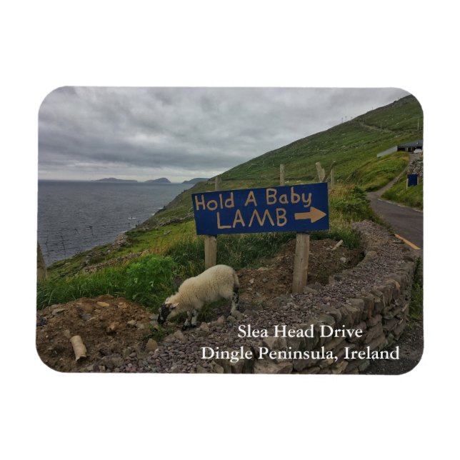 Slea Head Drive Dingle Peninsula, Ireland Magnet (Horizontal)