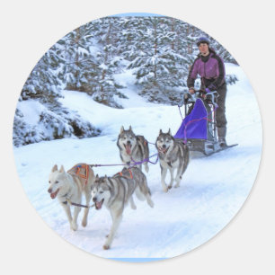 Sled Dog Racing Classic Round Sticker