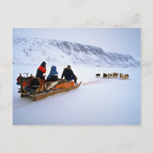 Sled dog tour, South Baffin Island Postcard
