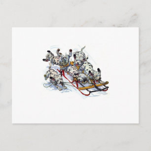 Sledding Dalmatian Pups Postcard
