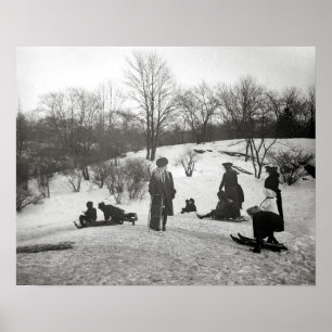 Sledding in Central Park, 1906. Vintage Photo Poster