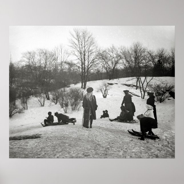 Sledding in Central Park, 1906. Vintage Photo Poster (Front)