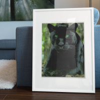 Sleek Black Panther Cat with Green Eyes