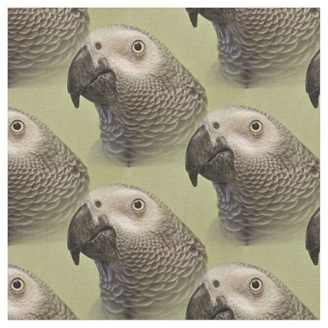 Sleek Congo African Grey Parrot Fabric (Close Up)