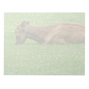 Sleep Little One Notepad