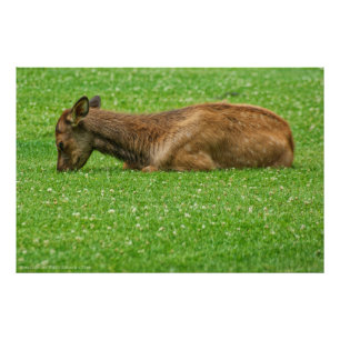 Sleep Little One Photo Print