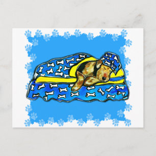 Sleeping Airedale Postcard