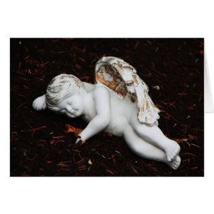 sleeping angel