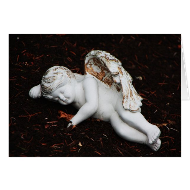 sleeping angel (Front Horizontal)