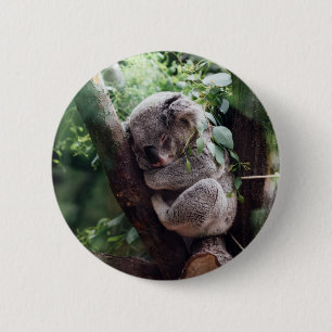 Sleeping Baby Koala 2 Inch Round Button
