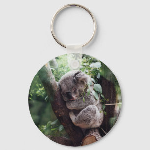 Sleeping Baby Koala Keychain