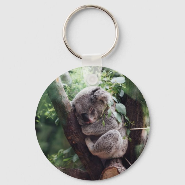 Sleeping Baby Koala Keychain (Front)