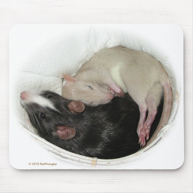 Sleeping baby rat mouse pad (Front)