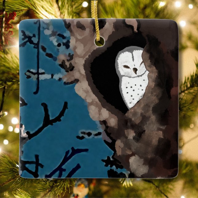 Sleeping Barn Owl Ceramic Ornament (Creator Uploaded)