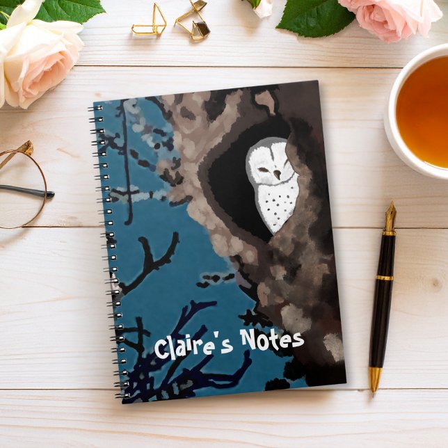Sleeping Barn Owl Original Art Notebook (Creator Uploaded)
