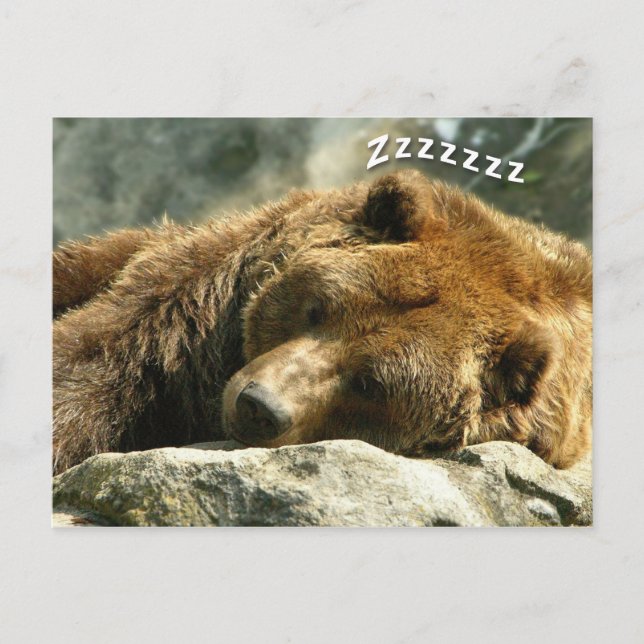 Sleeping Bear Postcard (Front)