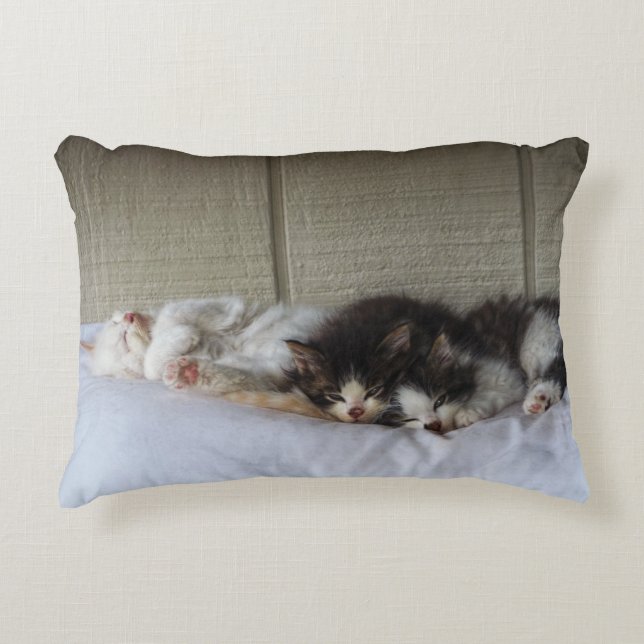 Sleeping Beauties Accent Pillow (Front)