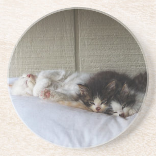 Sleeping Beauties Coaster