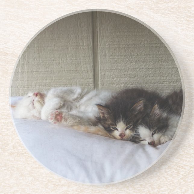 Sleeping Beauties Coaster (Front)