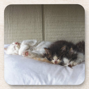 Sleeping Beauties Coaster