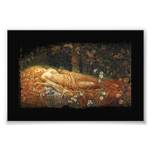 Sleeping Beauty and a Harp Photo Print (Front)