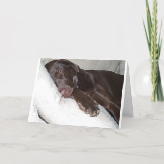 Sleeping Beauty Card