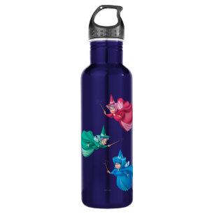 Sleeping Beauty Fairies 710 Ml Water Bottle