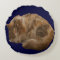 Sleeping Bengal Kitten Prank Pet Pillow