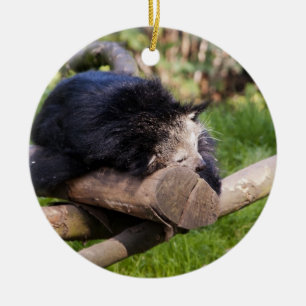 Sleeping Binturong Ceramic Ornament