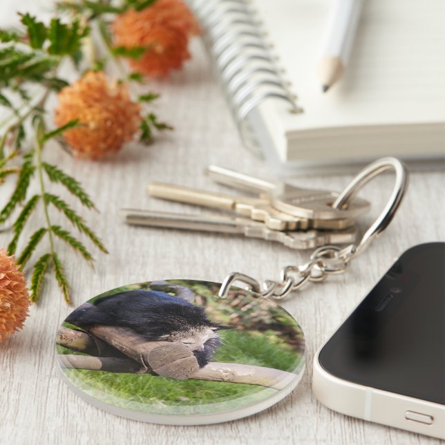 Sleeping Binturong Keychain (Front Right)