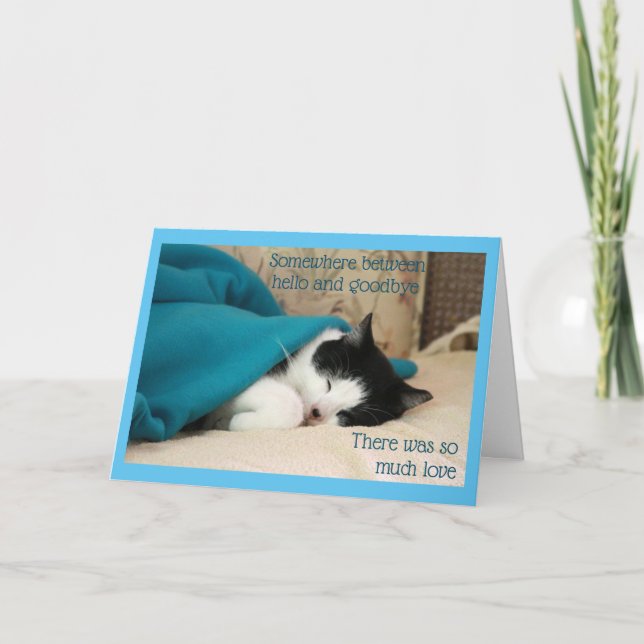 Sleeping Black and White Cat Card (Front)