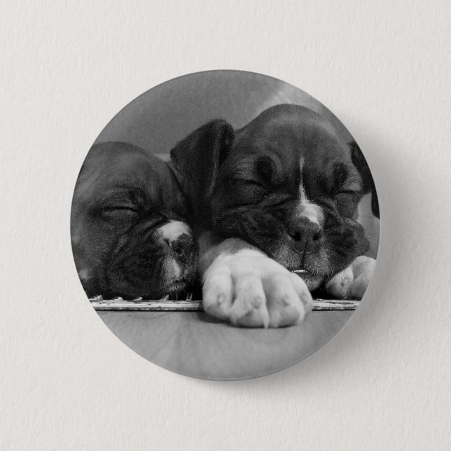 Sleeping Boxer puppies button (Front)
