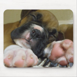 Sleeping Boxer puppy mousepad