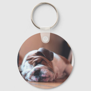 Sleeping Bulldog Bown and White Puppy Keychain