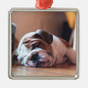 Sleeping Bulldog Bown and White Puppy Metal Ornament