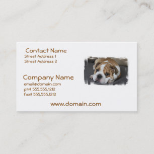 Sleeping Bulldog Business Cards