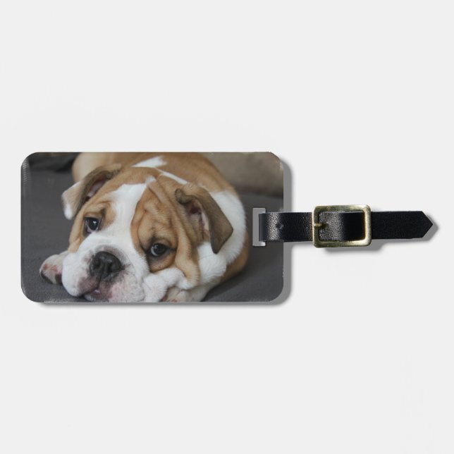 Sleeping Bulldog Luggage Tag (Front Horizontal)