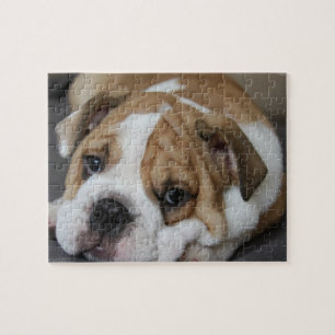 Sleeping Bulldog Puzzle