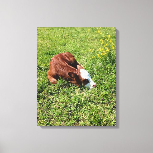 Sleeping Calf Canvas Print (Front)