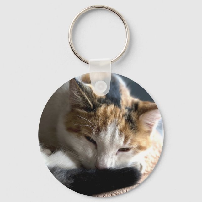 Sleeping Calico Cat Keychain (Front)
