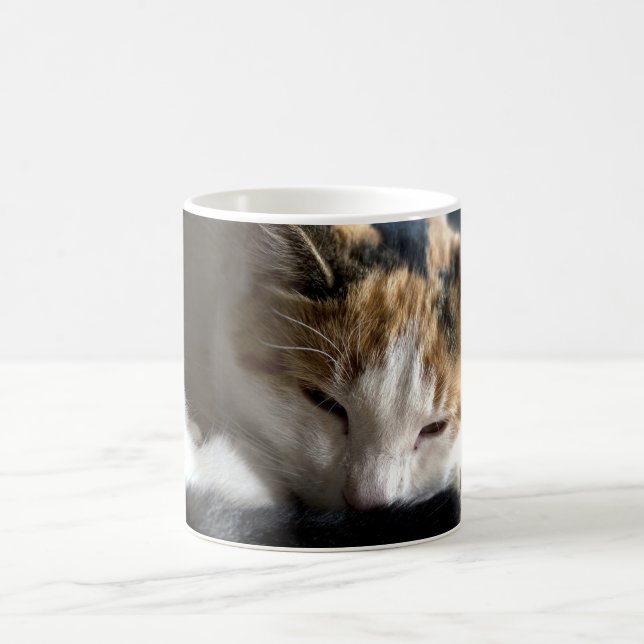 Sleeping Calico Cat Magic Mug (Center)