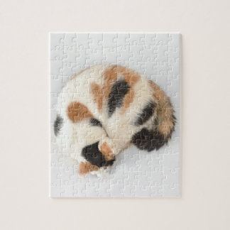 Sleeping Calico Cat Photo Puzzle and Gift Box