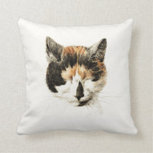 Sleeping Calico Cat