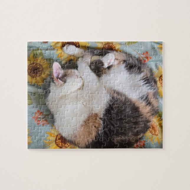 Sleeping Calico Jigsaw Puzzle (Horizontal)
