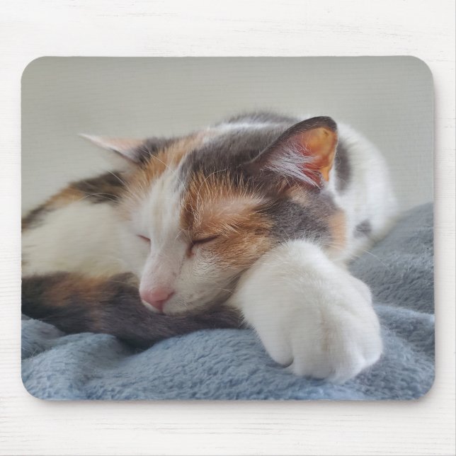 Sleeping calico mouse pad (Front)