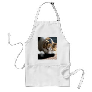 Sleeping Calico Standard Apron