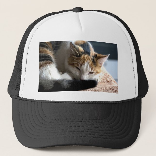 Sleeping Calico Trucker Hat (Front)