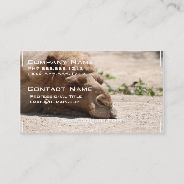 Sleeping Camel Business Card (Front)