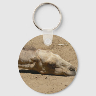 Sleeping camel keychain